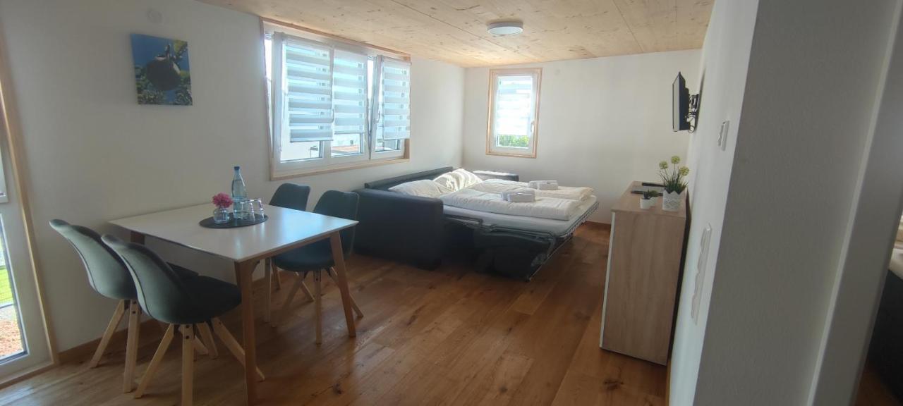 Ferienwohnung Alvino Friedrichshafen Ngoại thất bức ảnh